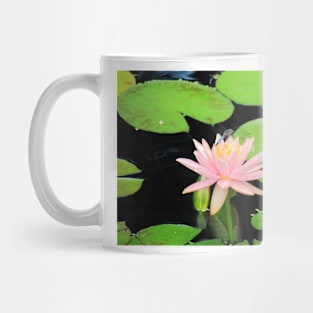 Blue Dragonfly On Pink Flower Mug